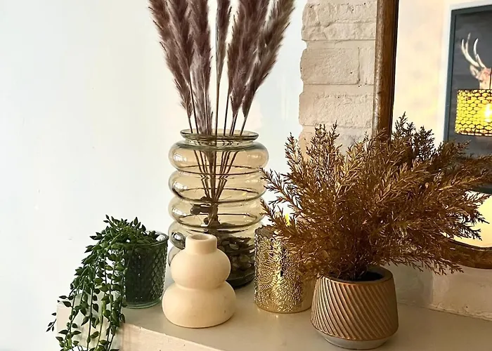 Hébergement de vacances Au Fil De Boh'ô Vresse-sur-Semois